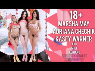 marsha may, adriana chechik, kasey warner - royal blowjob from pornstars 18 big tits milf small tits big ass