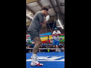 the undisputed lightweight champion - devin haney - continues to prepare for the fight with vasyl lomachenko